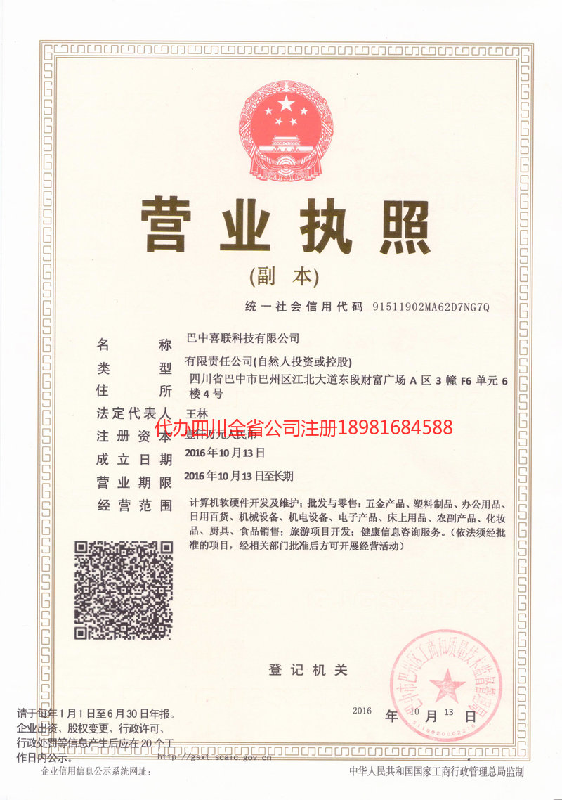 廉江廉江喜联科技有限公司