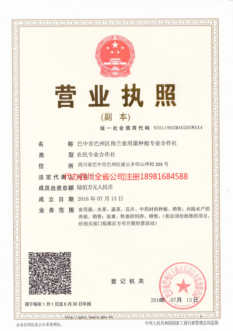 廉江廉江伟兰食用菌种植专业合作社